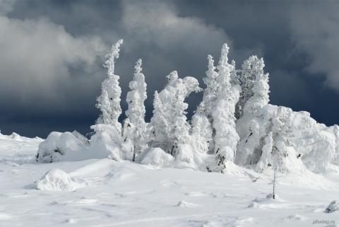 Гух #077