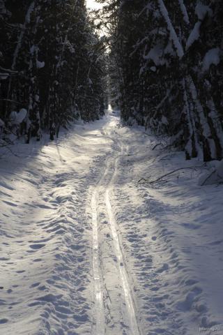 Гух #144