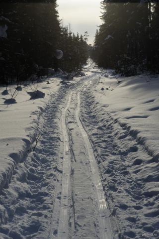 Гух #145