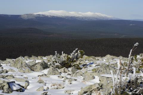 Гух #147