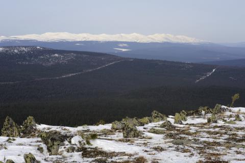 Гух #150