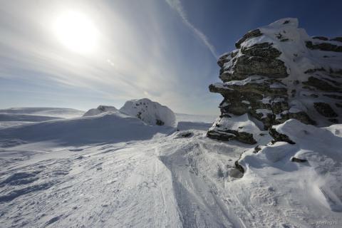 Гух #171