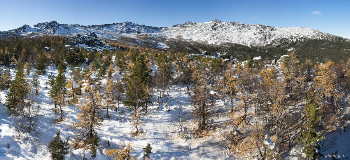 Серебрянка 